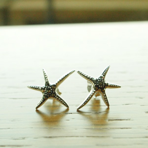A starfish E.